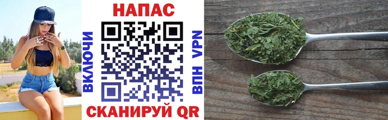 Бошки марихуана OG Kush  дарнет шоп  Чёрмоз 